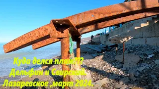 Куда делась часть пляжа??? Дельфин и Свирский в марте 2024! А свирский подрос! 🌴ЛАЗАРЕВСКОЕ 🌴СОЧИ.