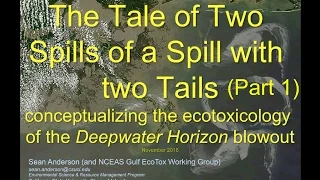 Oil Spill Introduction-Deepwater Horizon (Part 1)