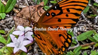 10 Hour Best Tinnitus Sound Therapy Ever #2 Nature Sounds