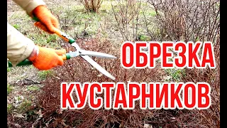 Садотерапия / Обрезка кустарников / Pruning shrubs / 低木の剪定 / Игорь Билевич