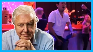 David Attenborough Narrates Drunk People Failing 2016