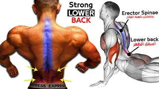 6 Exercises for a Strong Lower Back Workout (NO MORE PAIN!)