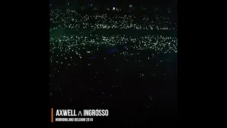 Avicii - Wake Me Up (Axwell / Ingrosso Remix) |Don't You Worry Child| Tomorrowland 2018