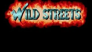 Wild Streets gameplay (PC Game, 1989)