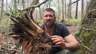 Swamp Bushcraft in Florida-Part 2 with group