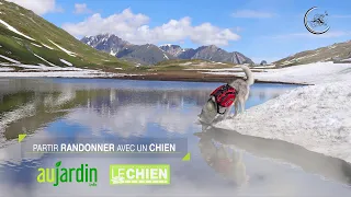 Partir en randonnée avec son chien🐕 bien préparé pour une longue balade