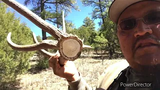 Awesome Hike With Tim 7 Brown Elk Sheds 4/16/24