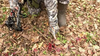 Best Blood Tracking Deer Recovery Tip