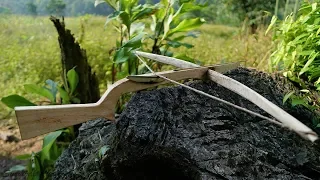 Survival Skill - Making Hunting Crossbow From Forest Wood | Survival Skills 2019