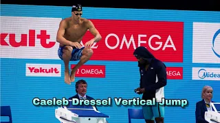 Caeleb Dressel Vertical Jump