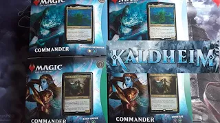 Kaldheim: opening of 2 decks commander and explanation of maps, mtg, magic the gathering!