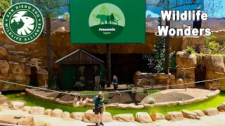 Wildlife Wonders | Wildlife Presentation at San Diego Zoo | FULL SHOW 4K Ultra HD