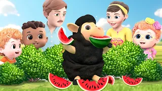 Baa Baa Black Sheep Song | Yes Yes Play Outside Song | +More Kids Songs & Nursery Rhymes