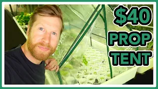 Why I LOVE this $40 Propagation Tent & RESULTS - Honest Review