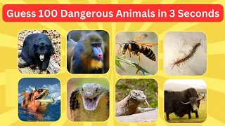Guess the 100 Dangerous Animals in 3 Seconds - Animal Quiz