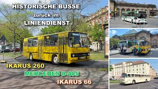 Dresden - Historische Busse im Linienverkehr von Dresden