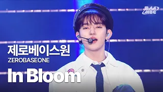 제로베이스원(ZEROBASEONE) - In Bloom 🌸청량하면 제베원🌸