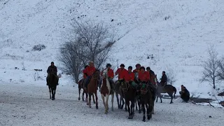 Бел алды Совет кок бору