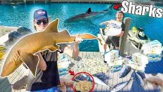 SHARKS FOUND Using 1,000 LBS of Dead Fish! (we found the sea monster)