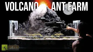 I Created a Volcano Ant Farm for Fire Ants