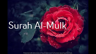 Quran Recitation: Surah Al-Mulk by Abu Bakr Al-Shatri