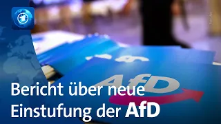 Verfassungsschutz bereitet laut SZ neue AfD-Einstufung vor