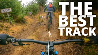 THE TWO BEST TRAILS AT BIKEPARK WALES!