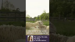 The Lamb, The Lion, The King by Meredith Andrews #praiseandworship #worship