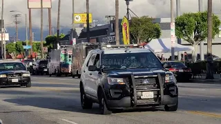 cops say no more lowrider cruising on Whittier blvd