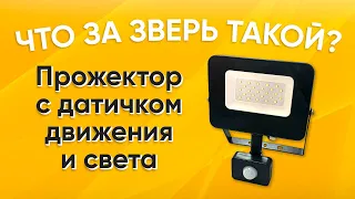 LED прожектор с датчиком движения, что за зверь такой?