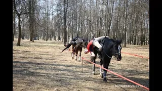 Мастерство джигитовки наездников из Бобруйска