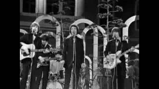 The Hollies - Carrie Anne (live with steel drum)