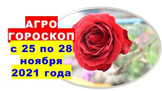 Агрогороскоп з 25 по 28 листопада 2021 року