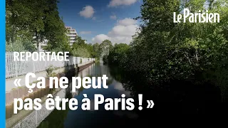 La darse du Rouvray, un « havre de paix et de biodiversité » que Paris promet de préserver