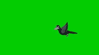 Flying and Talking Crow Green Screen | No Copyright | Goldmine Green Screen