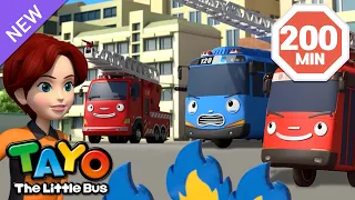 The Little Buses' Career Day!🚒 | Fire Truck Cartoon for Kids | Tayo English Episodes