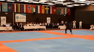 2019 Turkish Open Kick Boks Avrupa Kupası-Müzikli Form Yarışması