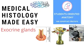 Histology of Exocrine glands/ glandular epithelium/ classification of exocrine glands