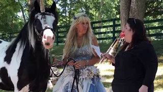 No ads Animal Communicator Speaks to my Horses. Equine Therapy Horses
