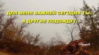 Для меня важней сегодня ты ... а другие подождут ...