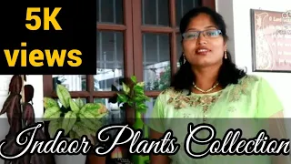 #Indoorplantsintamil #Shemasundar  #indoorplantcollection #airpurifierplant #shemasundar #homedecor