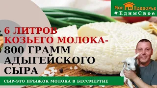 Как приготовить адыгейский сыр из козьего молока в домашних условиях? "Мое Подворье"