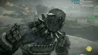 Shadow of the Colossus Speedrun in 1:25:47 (PS4/WR)