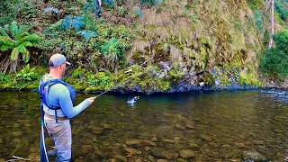 Catching Brown and Rainbow Trout on the Howqua River, Victoria!