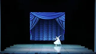 Variation from ballet "Chopiniana" 11 waltz