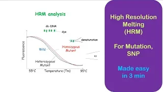 High Resolution Melting (HRM) analysis made easy.