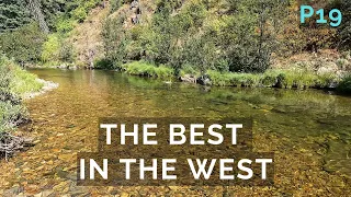 This small stream might be the BEST cutthroat fishery in the WEST!  p19