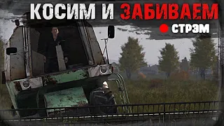 DayZ 1.12 | НЕУДЕРЖИМЫЕ | Стрим | Коси и забивай