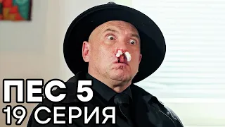 Сериал ПЕС - 5 сезон - 19 серия - ВСЕ СЕРИИ смотреть онлайн | СЕРИАЛЫ ICTV