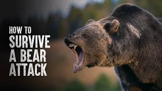 How to Survive a Bear Attack, According to Science